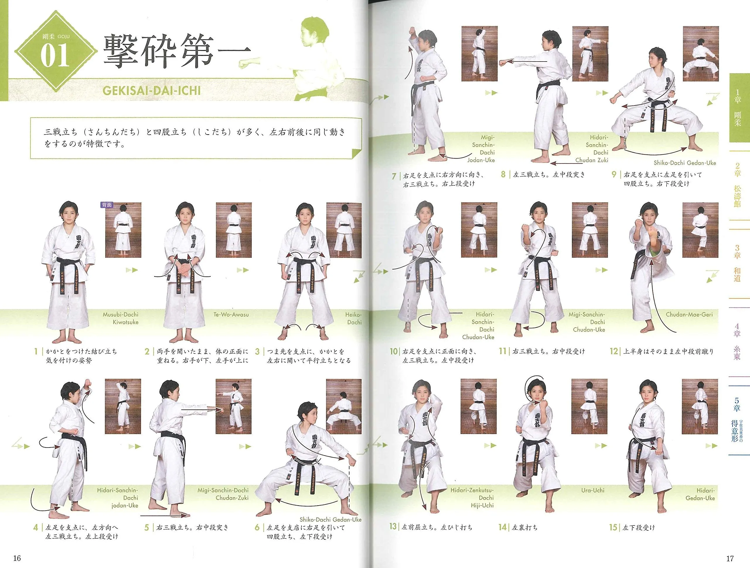 Basic Kata of 4 Major Schools of Karate Book & DVD by Rika Usami
